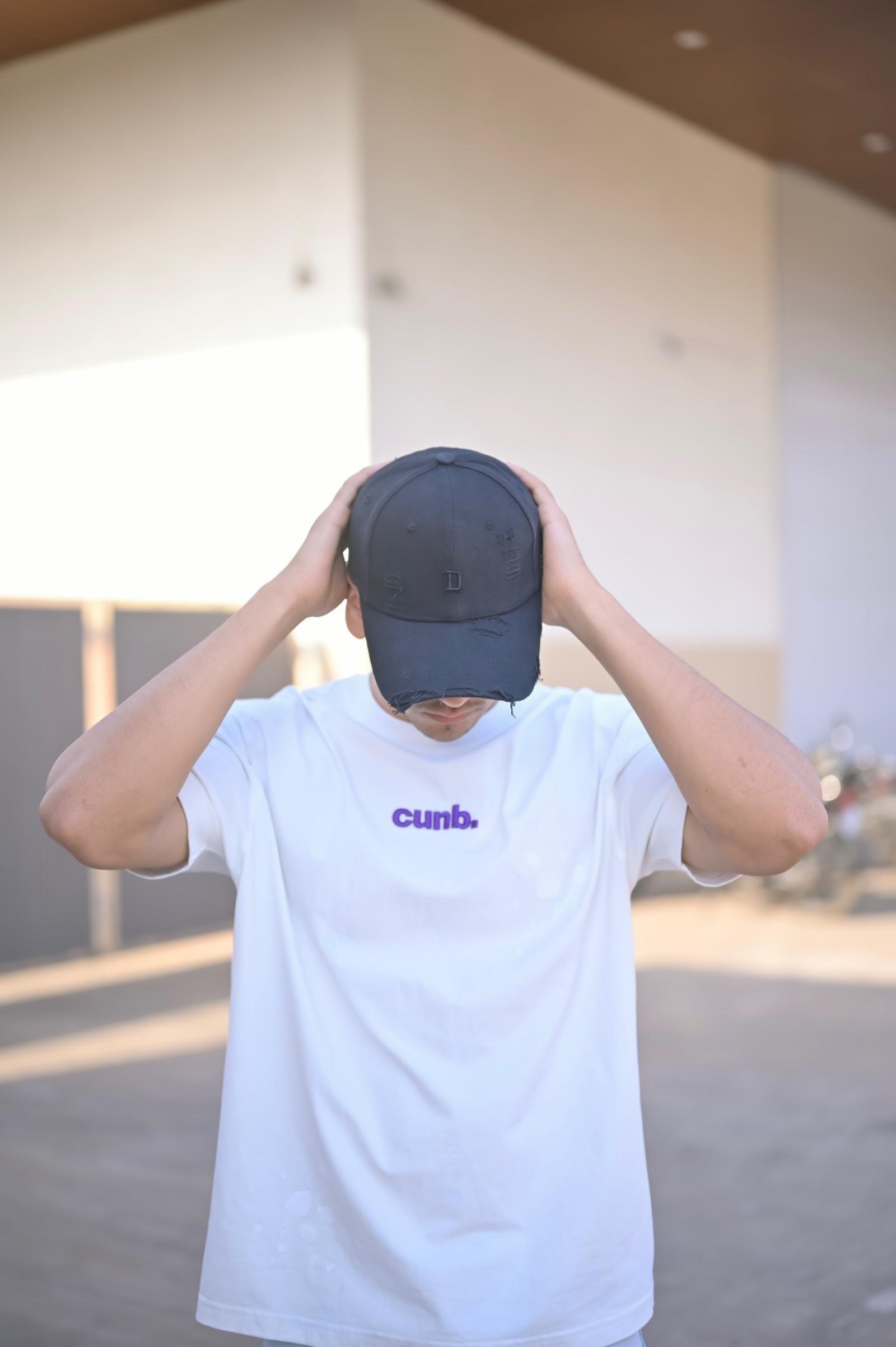 Dinem Shadow Distressed Cap